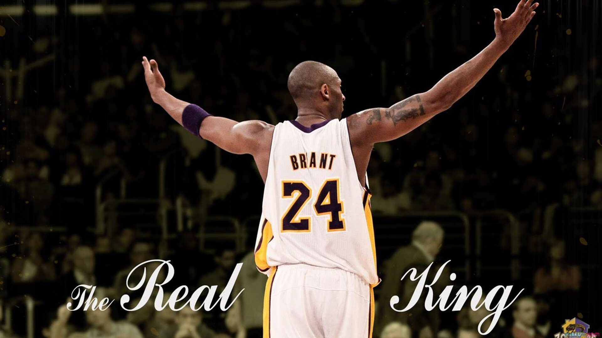 体育新闻中心记者实地连线，央视体育新闻记者